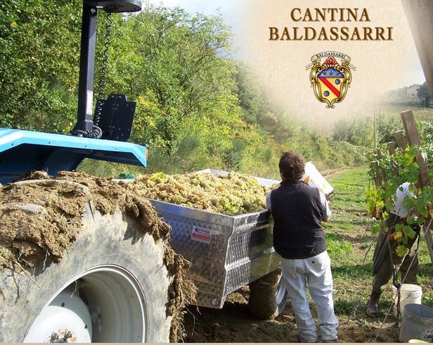 Cantina Baldassarri