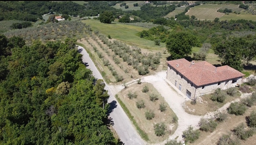 Fattoria del colle